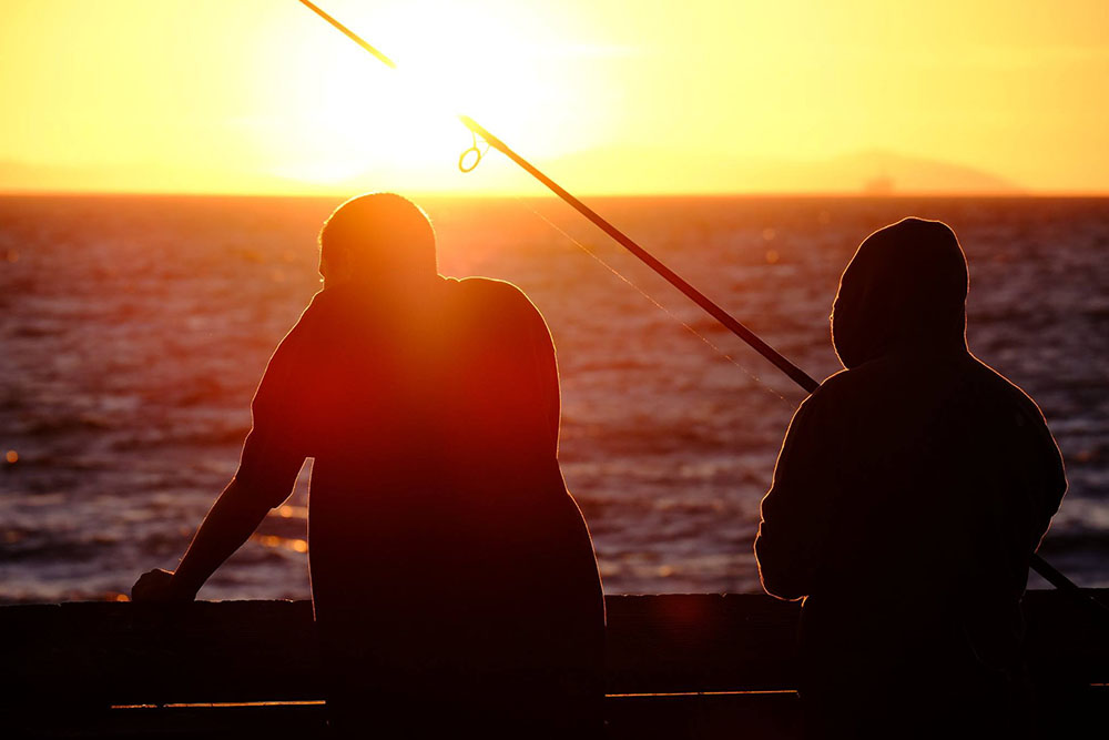 Imagen de Concurso - L.A. Fishermen '2014, Piotr Gurin