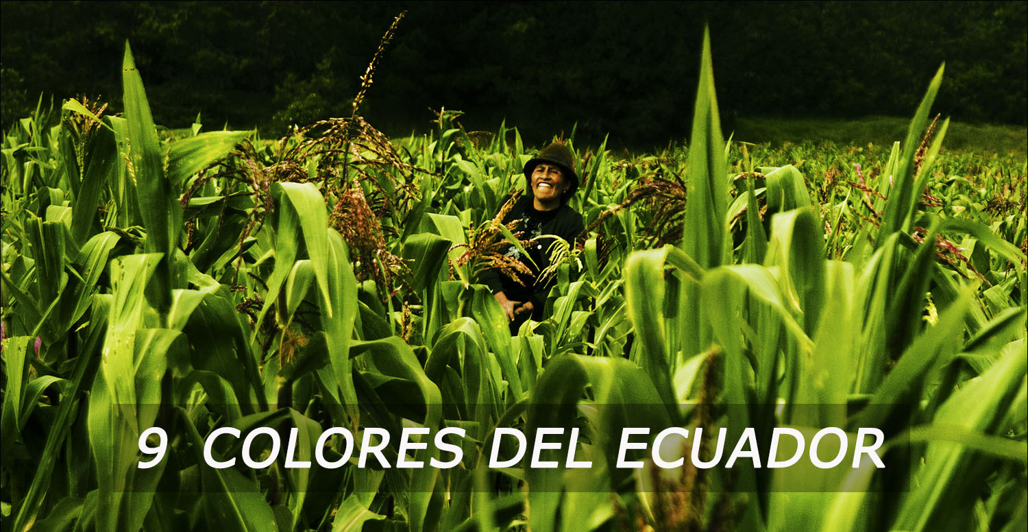 Foto de 9 'Colores del Ecuador'