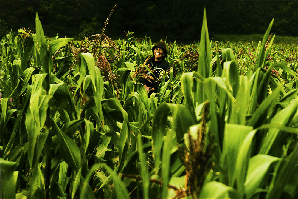 9 Colours of Ecuador - Corn Farm